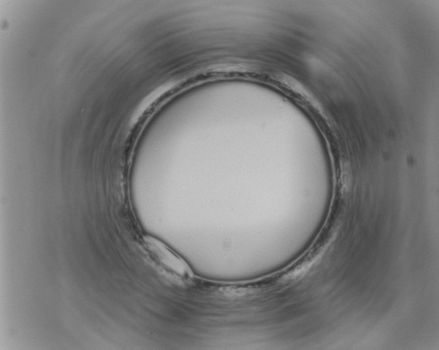 X0000073920829200609082236