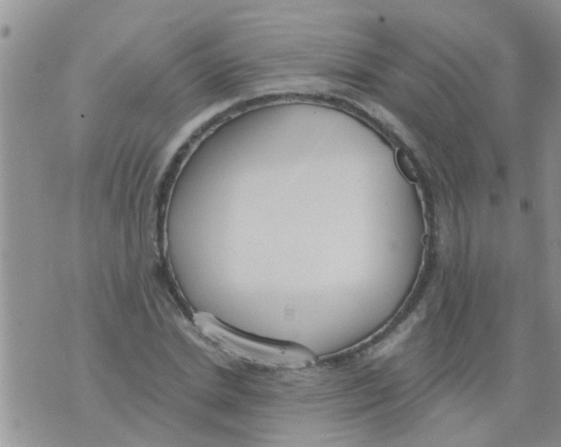 X0000073920830200609082236