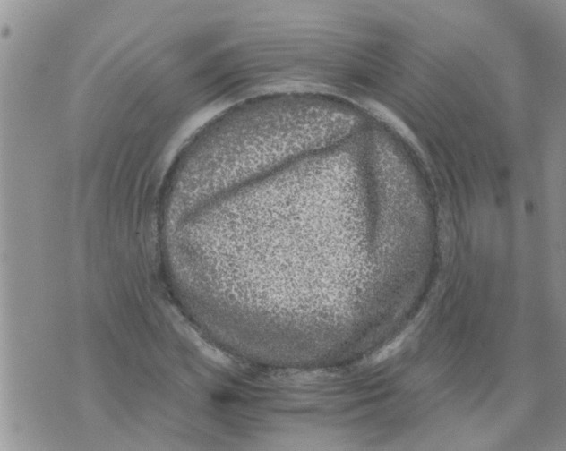 X0000073920831200609082236