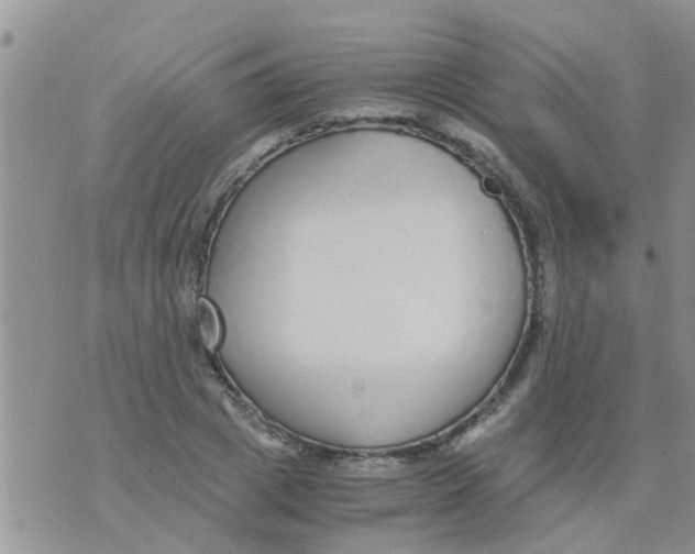 X0000073920833200609082236