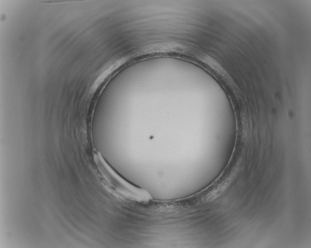 X0000073920834200609082236