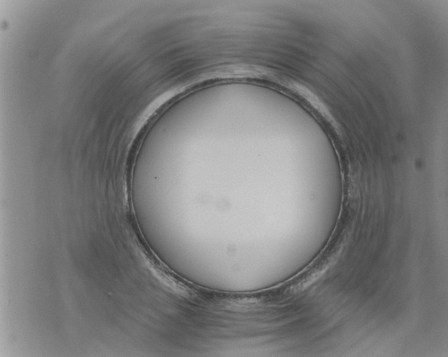 X0000073920837200609082236