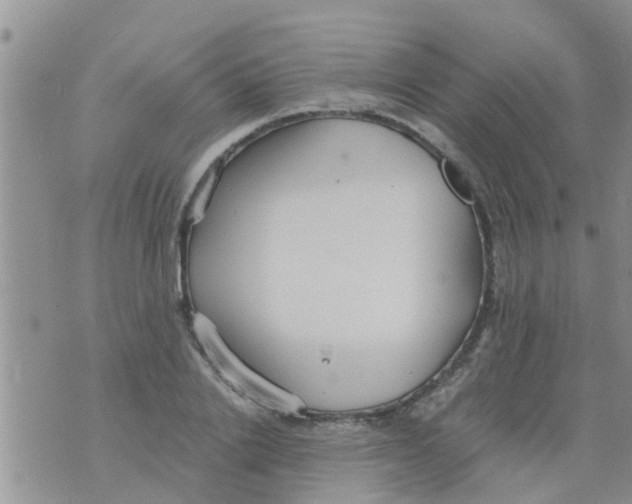 X0000073920838200609082236