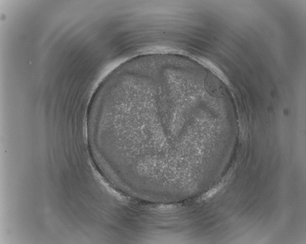 X0000073920839200609082236