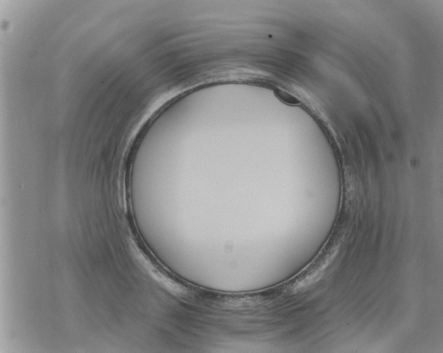 X0000073920843200609082236