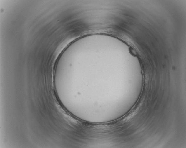 X0000073920844200609082236