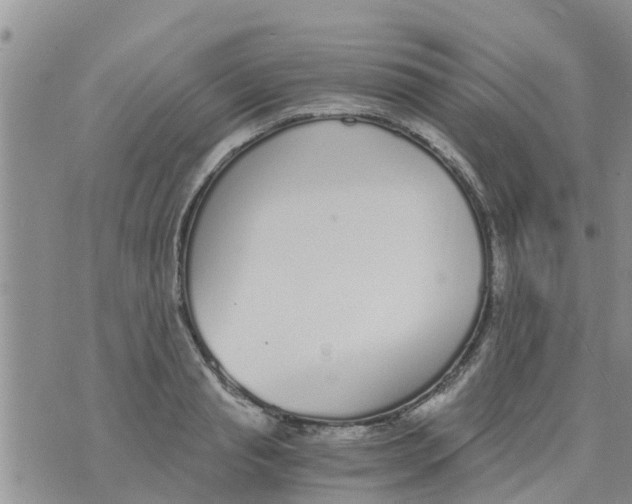 X0000073920845200609082236