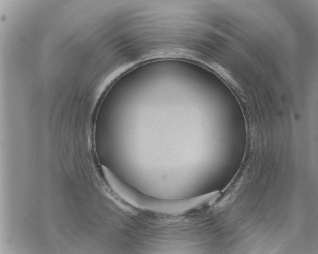 X0000073920846200609082236