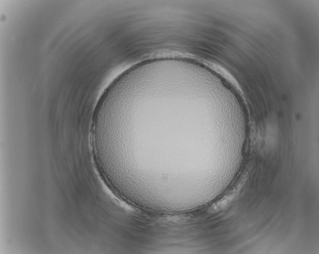 X0000073920847200609082236