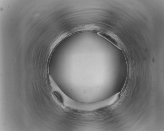 X0000073920850200609082236