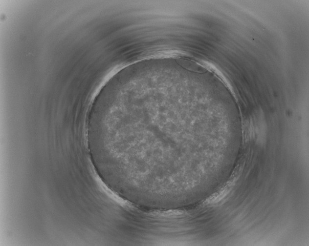 X0000073920851200609082236