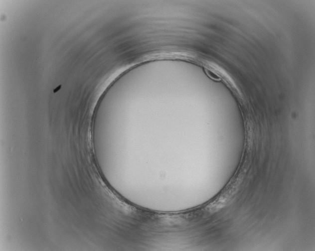 X0000073920852200609082236