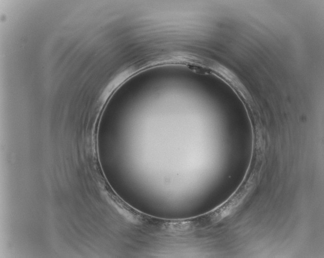 X0000073920858200609082236