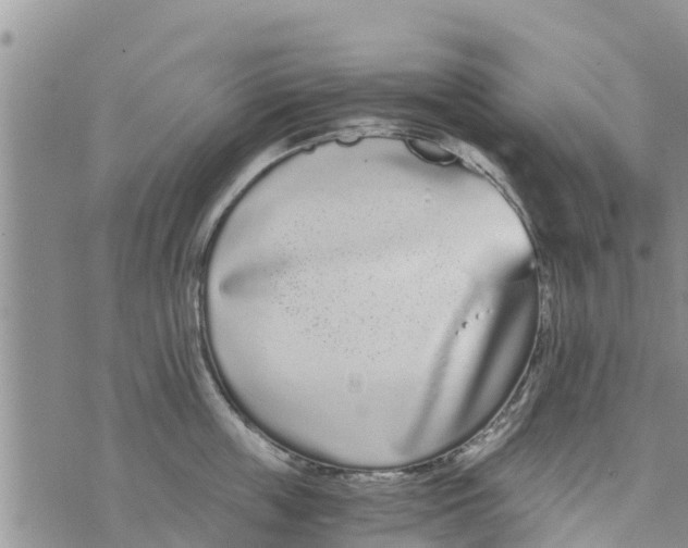 X0000073920859200609082236