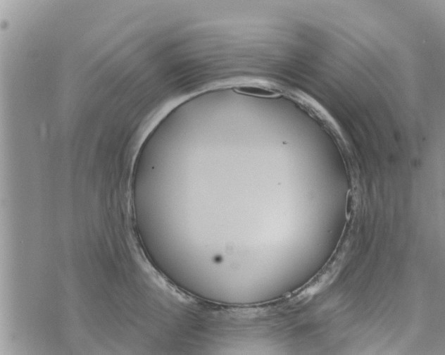 X0000073920860200609082236