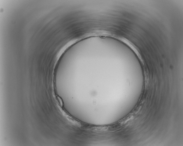 X0000073920861200609082236