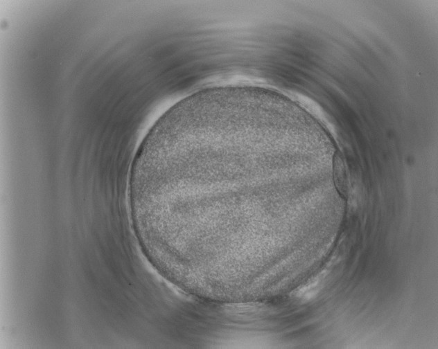 X0000073920863200609082236