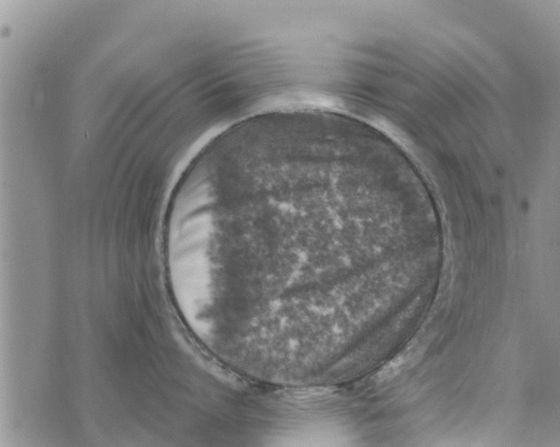 X0000073920864200609082236