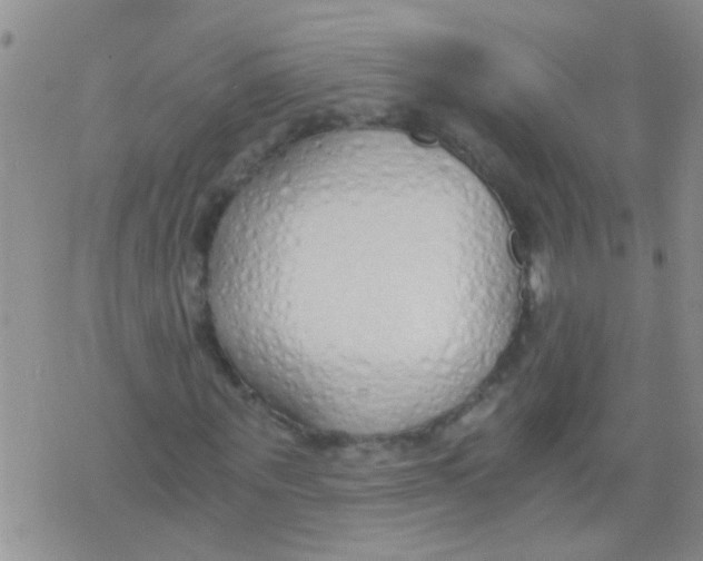 X0000073920867200609082235