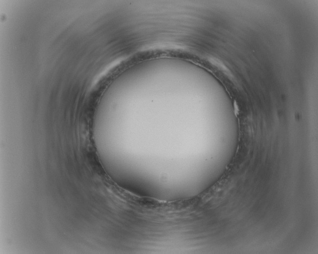 X0000073920872200609082235