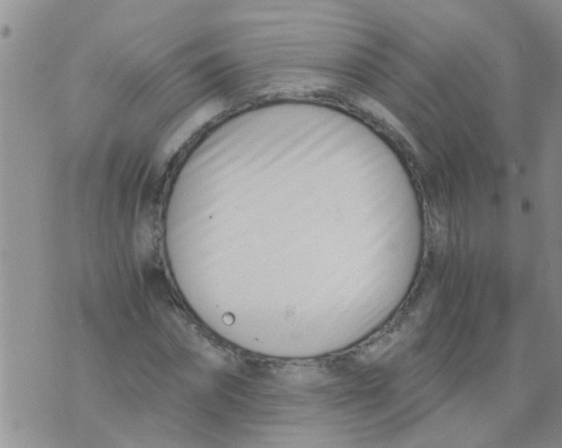 X0000073920874200609082235