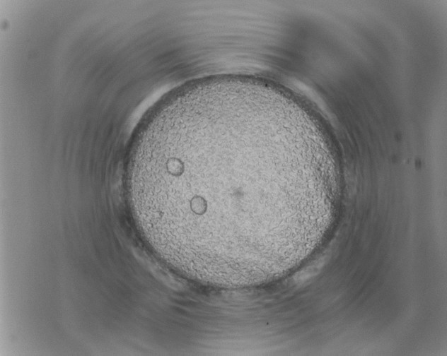 X0000073920875200609082235