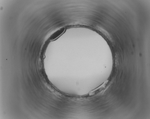 X0000073920876200609082235