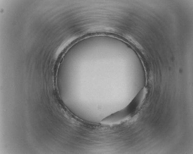 X0000073920877200609082235