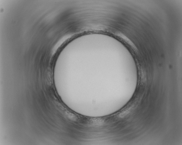 X0000073920878200609082235