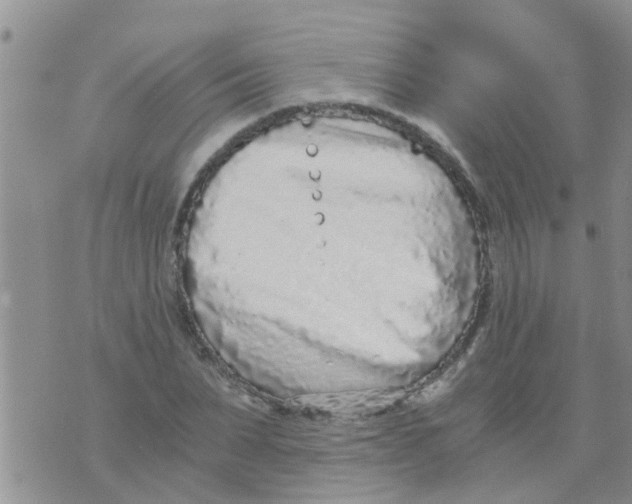 X0000073920879200609082235