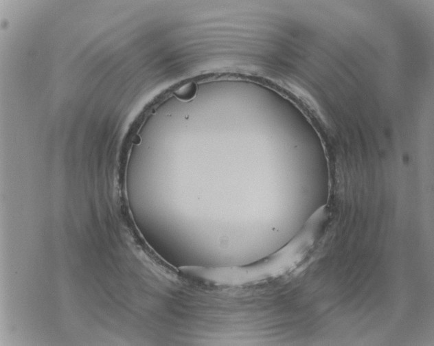 X0000073920880200609082235