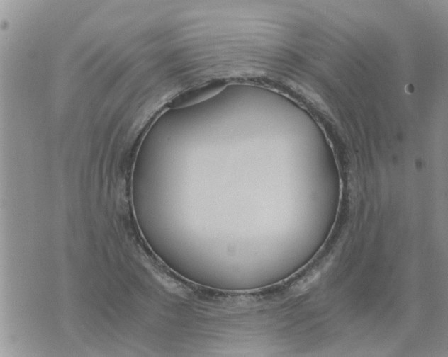 X0000073920881200609082235