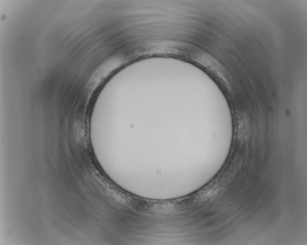 X0000073920882200609082235