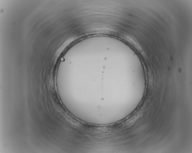 X0000073920883200609082235