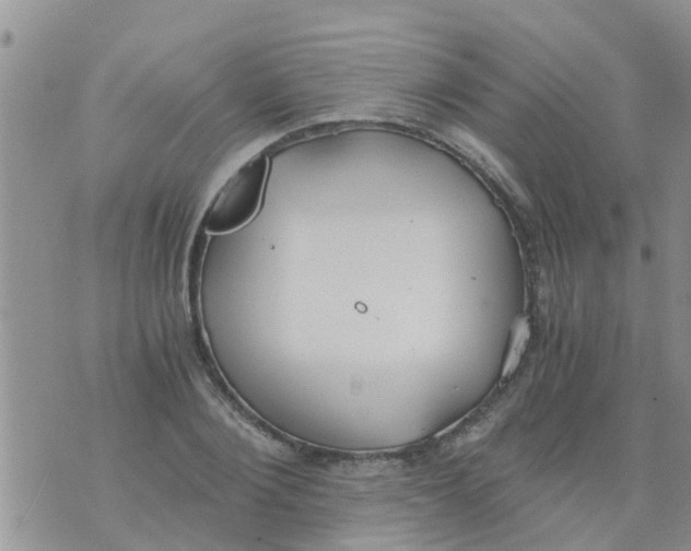 X0000073920884200609082235