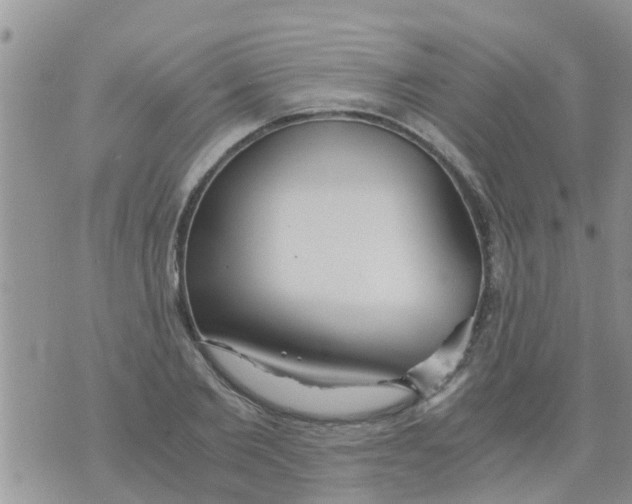 X0000073920885200609082235