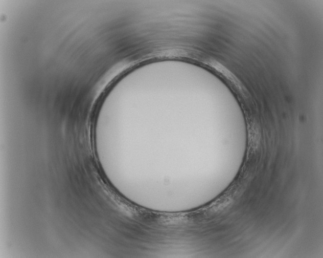 X0000073920886200609082235