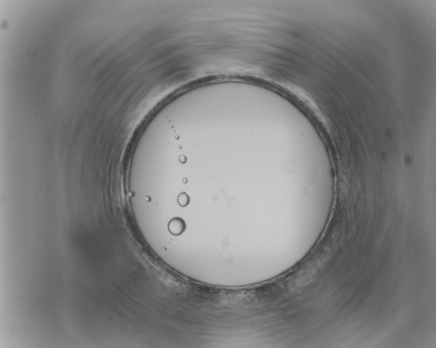 X0000073920887200609082235