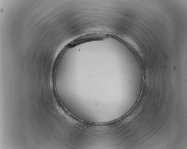 X0000073920888200609082235