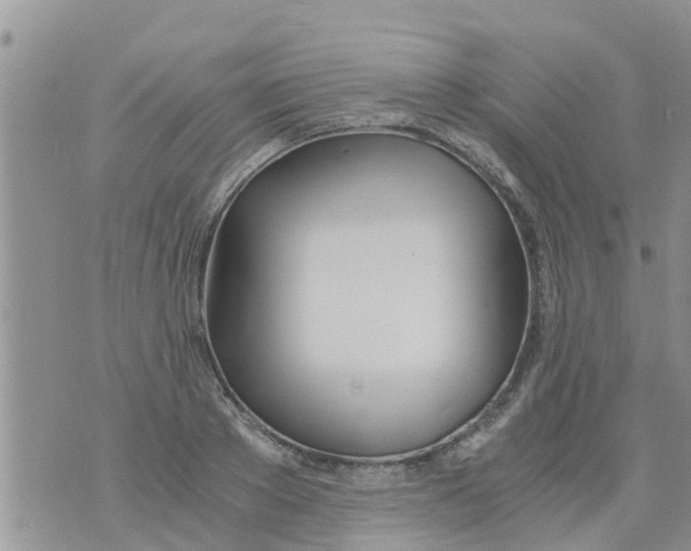 X0000073920889200609082235