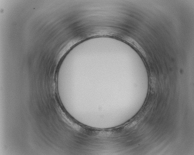 X0000073920890200609082235