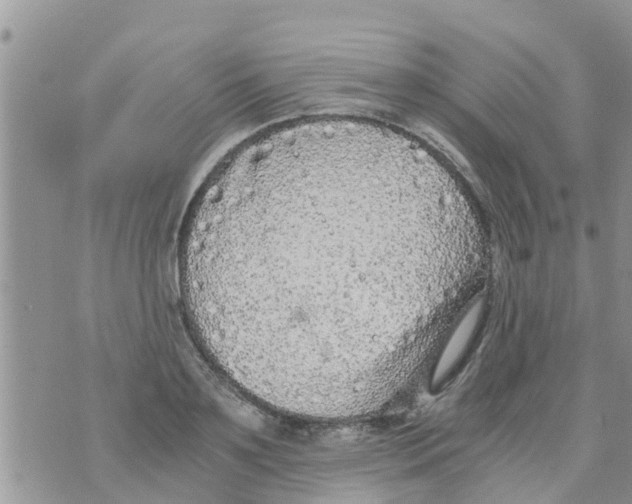 X0000073920891200609082235