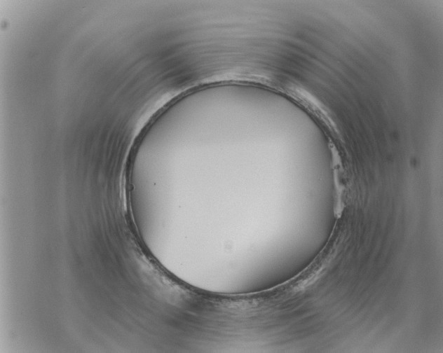 X0000073920892200609082235