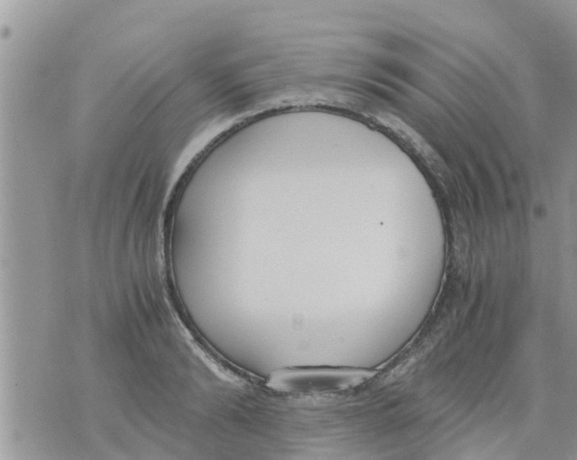 X0000073920894200609082235