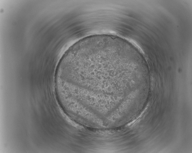 X0000073920895200609082235