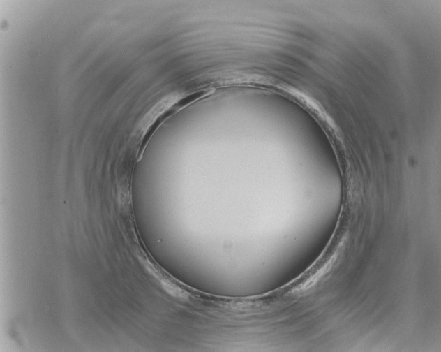 X0000073920897200609082235