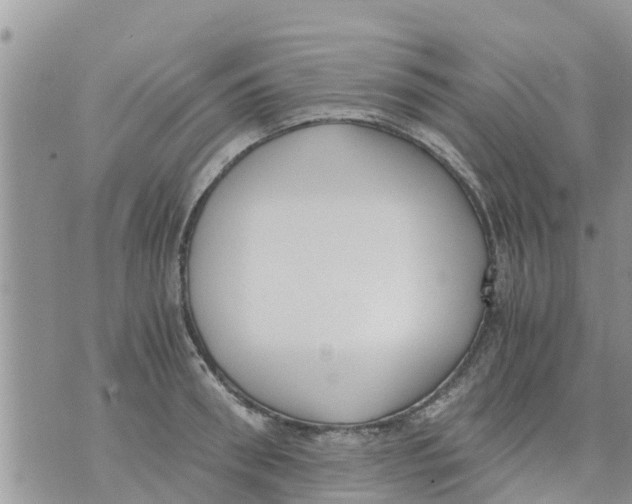 X0000073920898200609082235