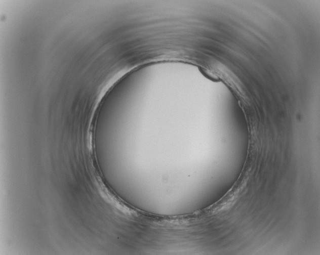 X0000073920900200609082235