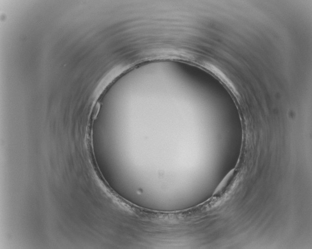 X0000073920901200609082235