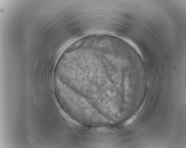 X0000073920903200609082235